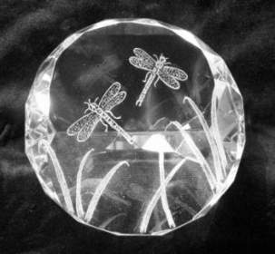 Optical Crystal Paperweight - Dragonflies 