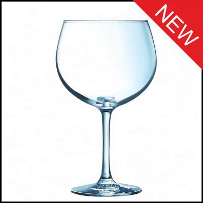 Copa Gin glass