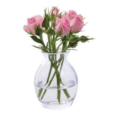 Dartington Bloom Vase