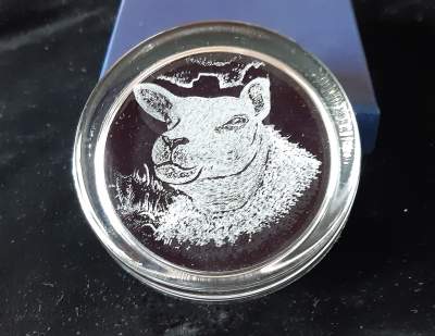 Paperweight - Texel sheep head