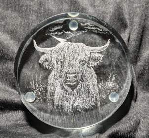 Paperweight - Highland Cow 